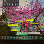Thumbnail of post image 184