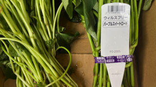 Thumbnail of post image 159
