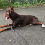 Thumbnail of new posts 068