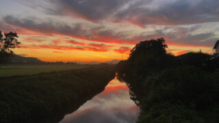 Thumbnail of post image 007