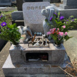 Thumbnail of new posts 025
