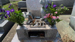 Thumbnail of post image 024