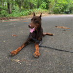 Thumbnail of new posts 162